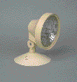 61